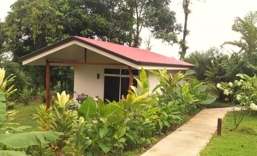 ホテル Tropical Suites & Villas
