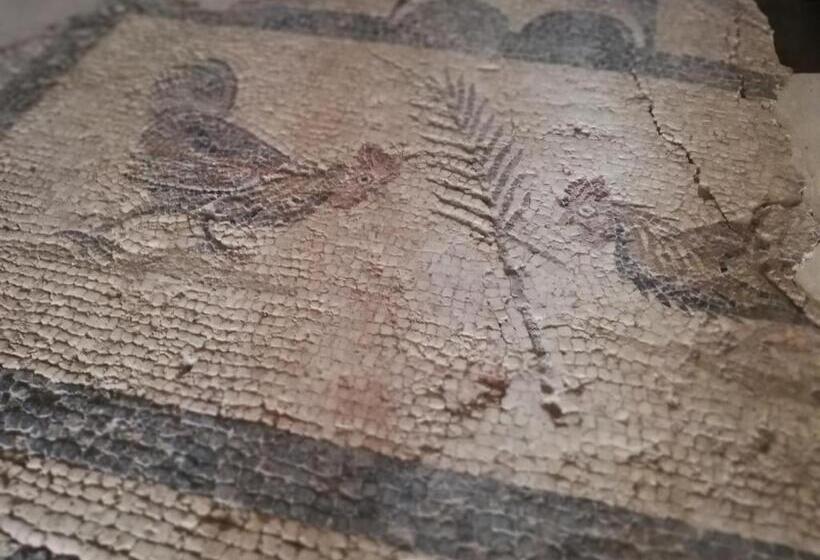 Ruinadalia Hotel   Adult Only