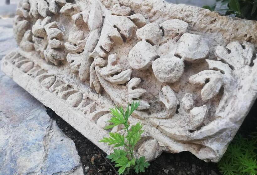 Ruinadalia Hotel   Adult Only