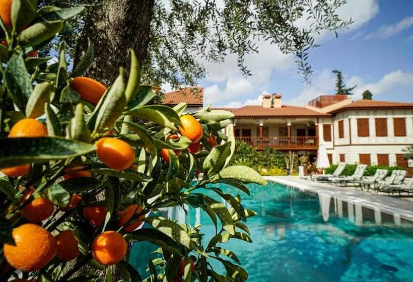 Ruinadalia Hotel   Adult Only