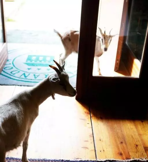 Отель Dimora Storica La Mirandola