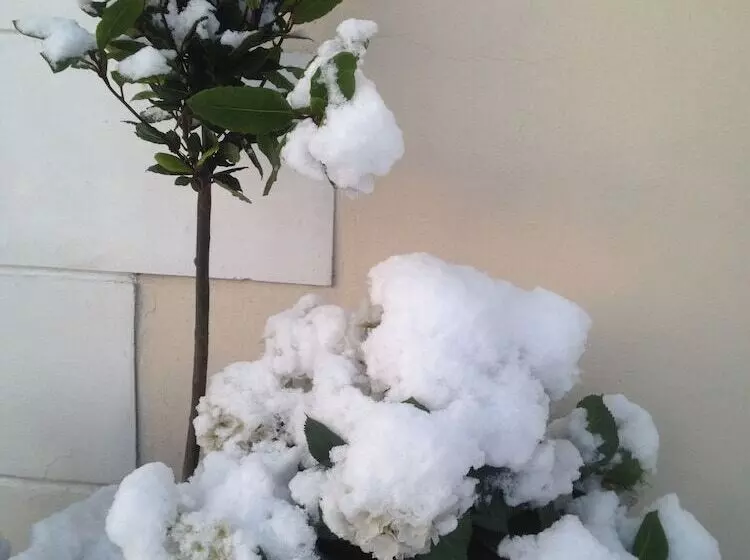 Lynebank House Hotel, Bed & Breakfast