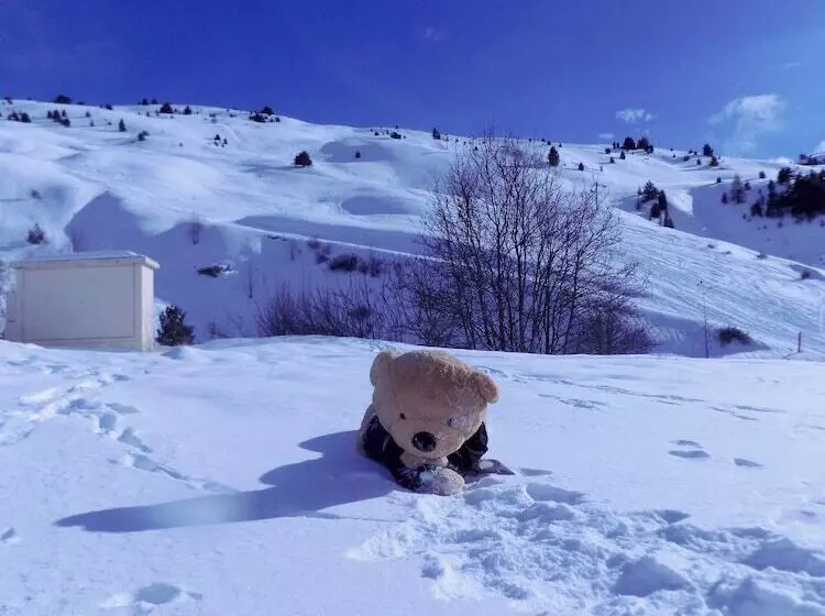 Nestor Hotel Gap Et Restaurant