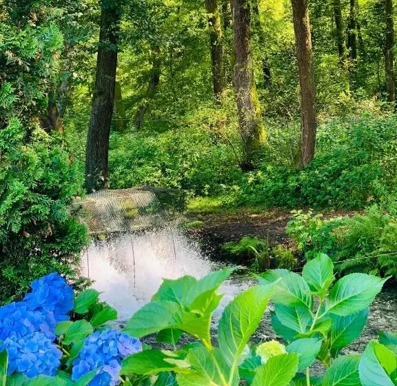 Retkeilymaja янтарная форель