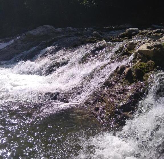 Отель Villa Medova