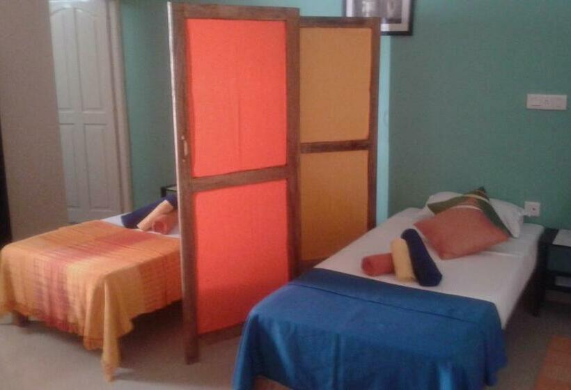 פנסיון Mandrem Rise Villas