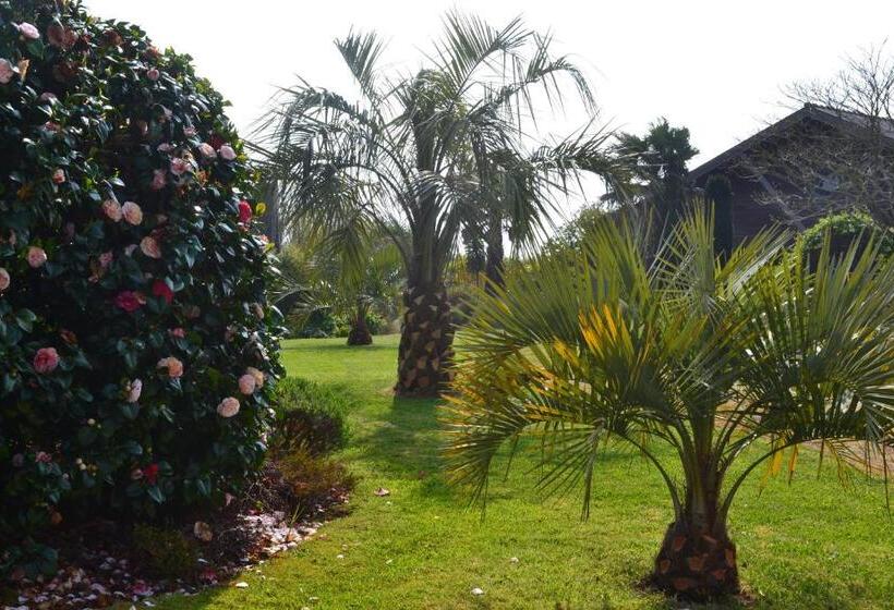 膳宿费 Chambres D Hôtes Le Nid D Iroise