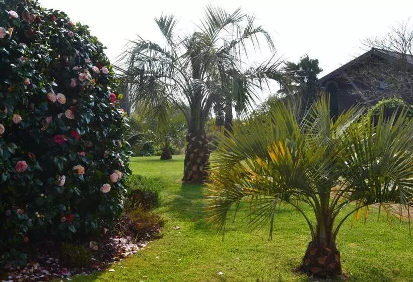 Majatalo Chambres D Hôtes Le Nid D Iroise