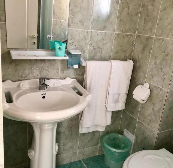 Пансион Vila Bordei Verde