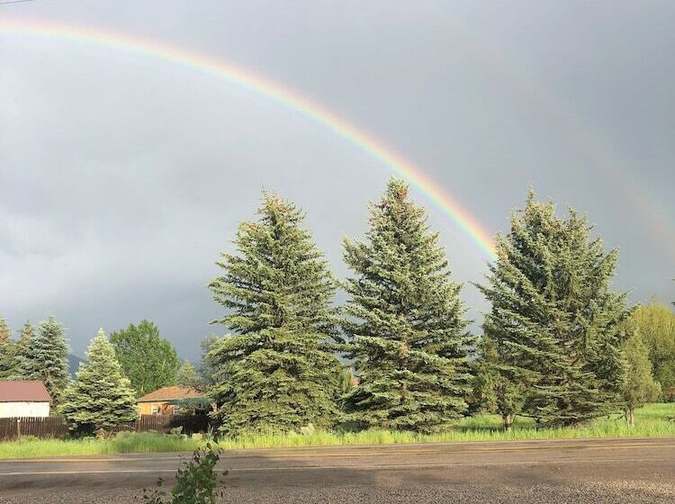 Szálloda Rays Place Inn