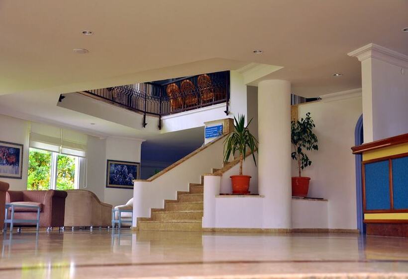 בית מלון כפרי Blue Night