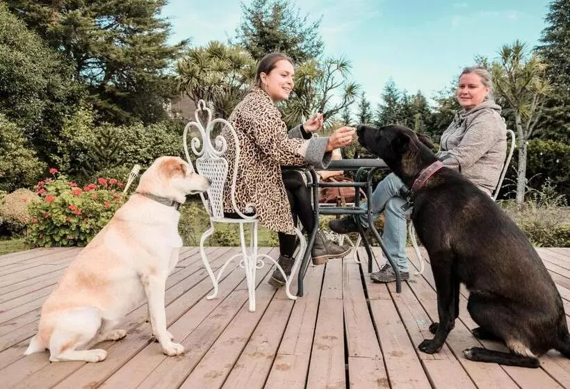 호텔 Socialtel Plaza Pucón Formerly Selina Plaza Pucón