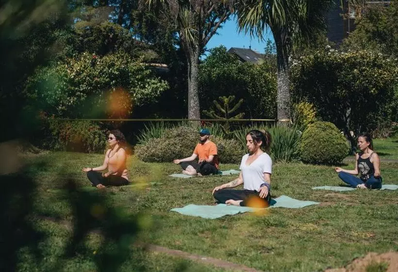 호텔 Socialtel Plaza Pucón Formerly Selina Plaza Pucón