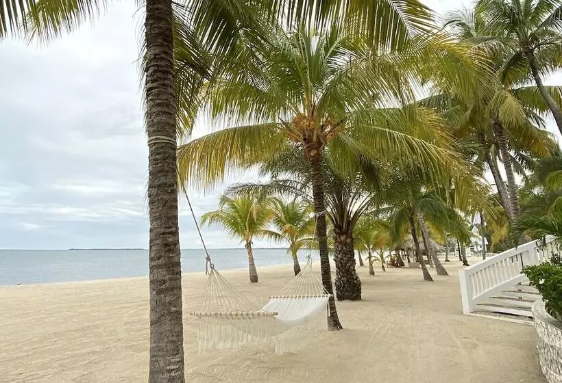 酒店 The Placencia