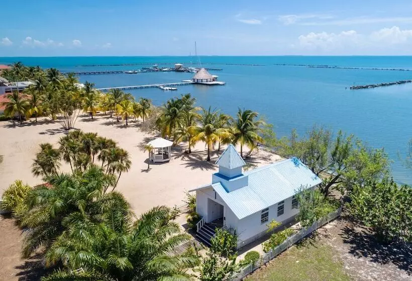 酒店 The Placencia