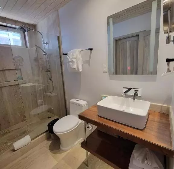 酒店 The Placencia