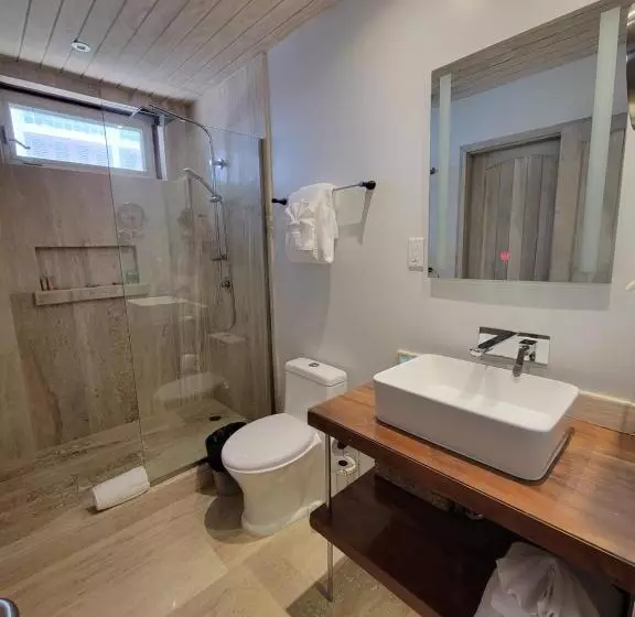 酒店 The Placencia