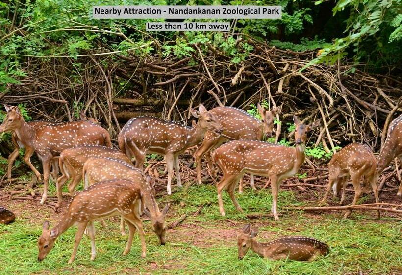 Hôtel Oyo 78637 Silver Key  Galaxy