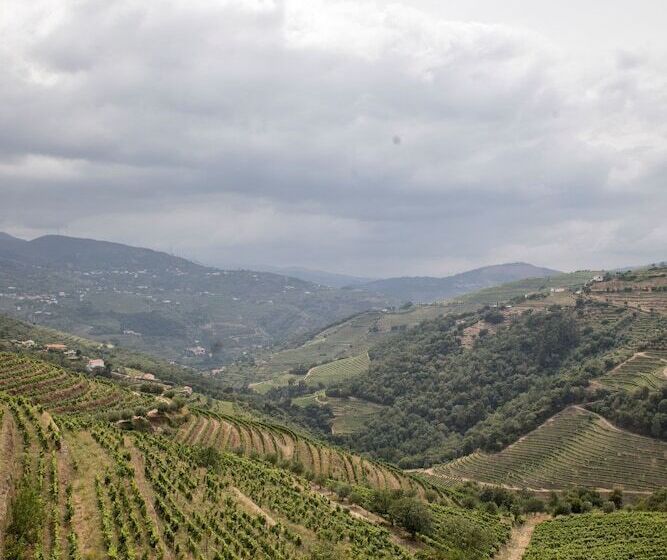 Casa Das Torres De Oliveira