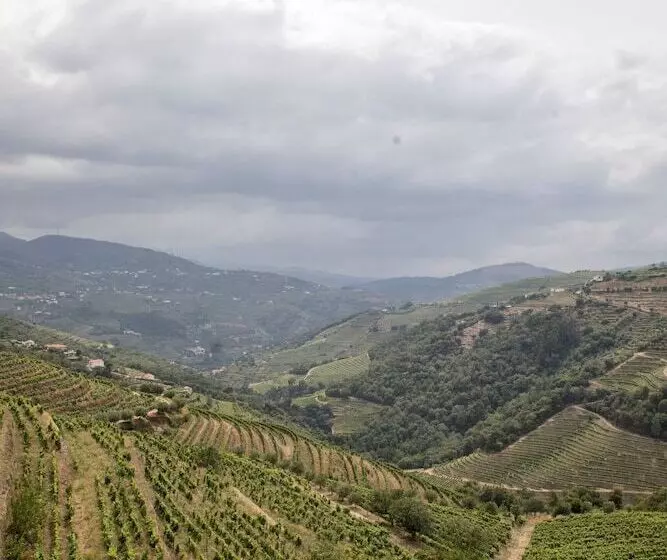 Casa Das Torres De Oliveira