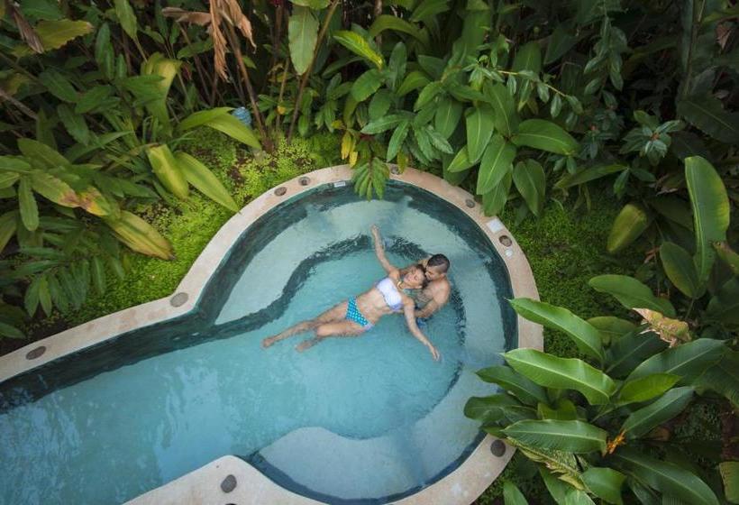 Casa Luna Hotel & Spa