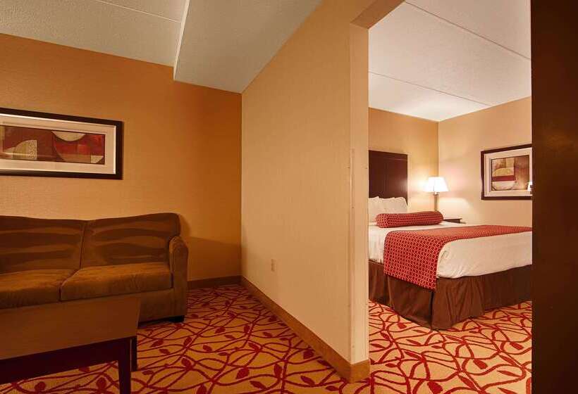 酒店 Best Western Park