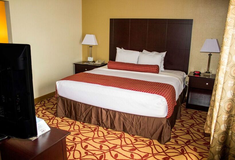 酒店 Best Western Park