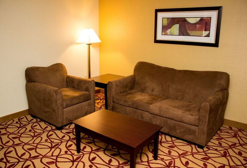 酒店 Best Western Park