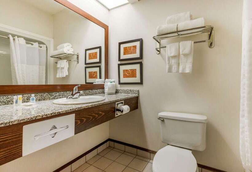 فندق Comfort Inn Summerville Charleston