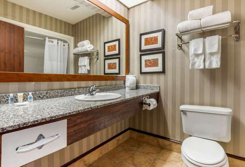 فندق Comfort Inn Summerville Charleston