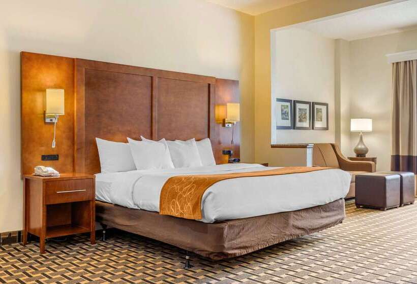 فندق Comfort Inn Summerville Charleston