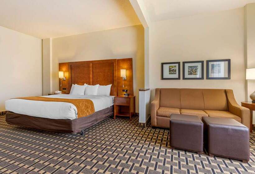 فندق Comfort Inn Summerville Charleston