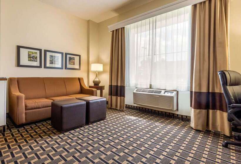 فندق Comfort Inn Summerville Charleston