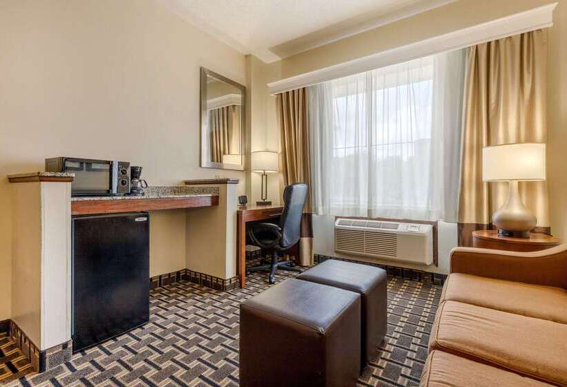 فندق Comfort Inn Summerville Charleston