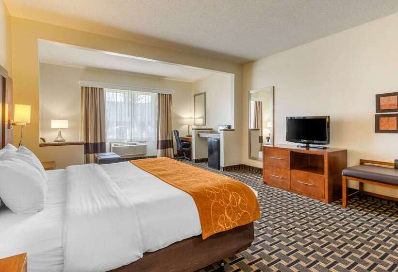 فندق Comfort Inn Summerville Charleston