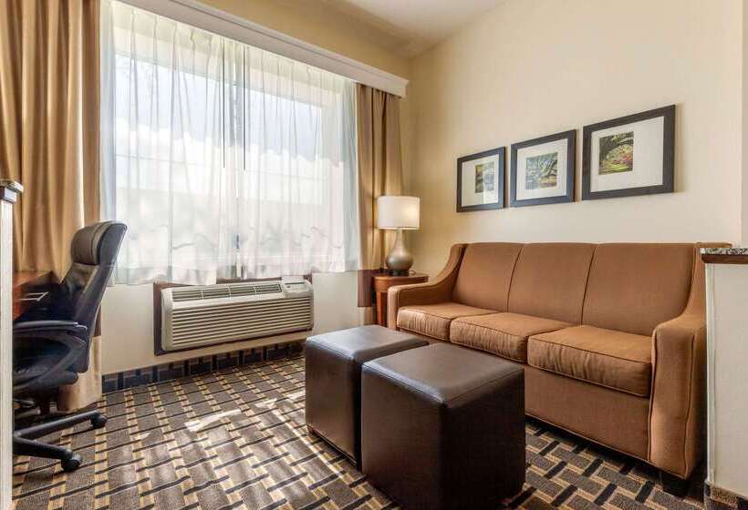 فندق Comfort Inn Summerville Charleston