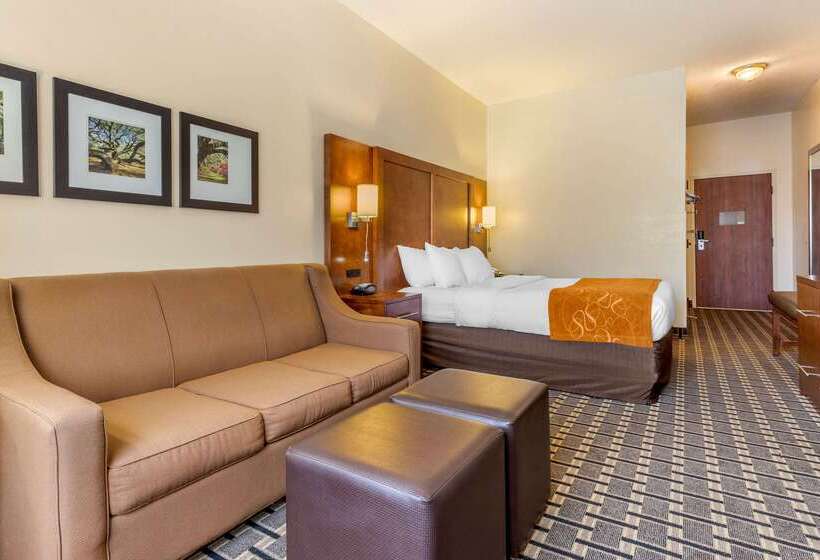 فندق Comfort Inn Summerville Charleston