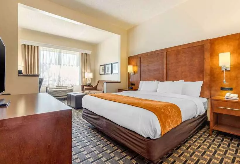 בית מלון כפרי Comfort Inn Summerville  Charleston