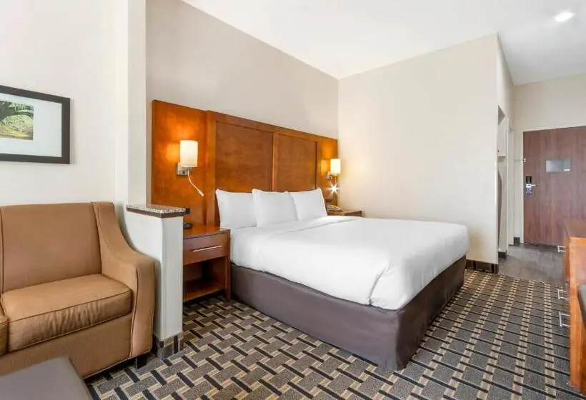ホテル Comfort Inn Summerville Charleston