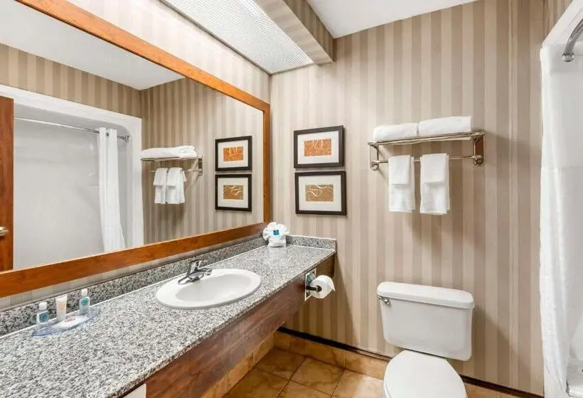 ホテル Comfort Inn Summerville Charleston