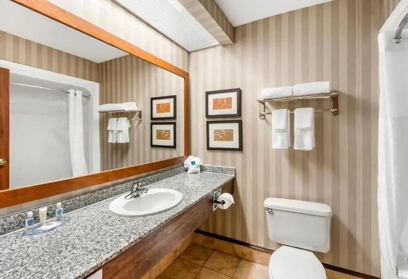 ホテル Comfort Inn Summerville Charleston