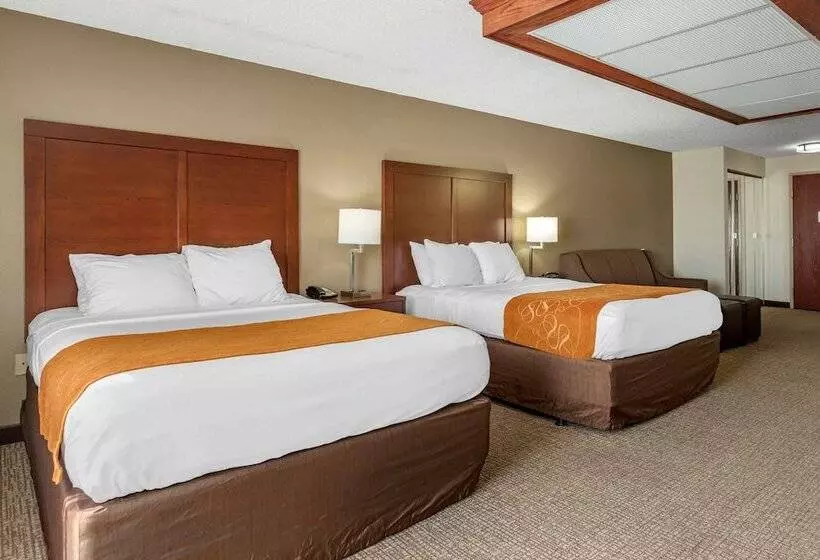 酒店 Comfort Suites Grandville   Grand Rapids Sw