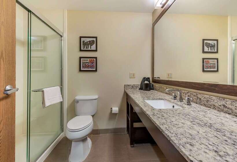 فندق Comfort Suites Mason Near Kings Island