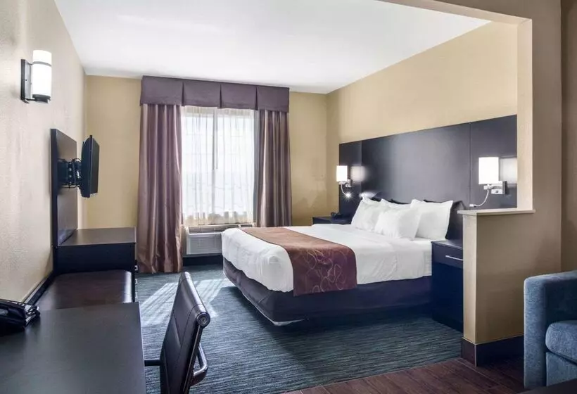 ホテル Comfort Suites