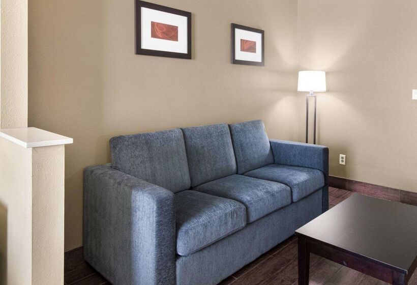 فندق Comfort Suites