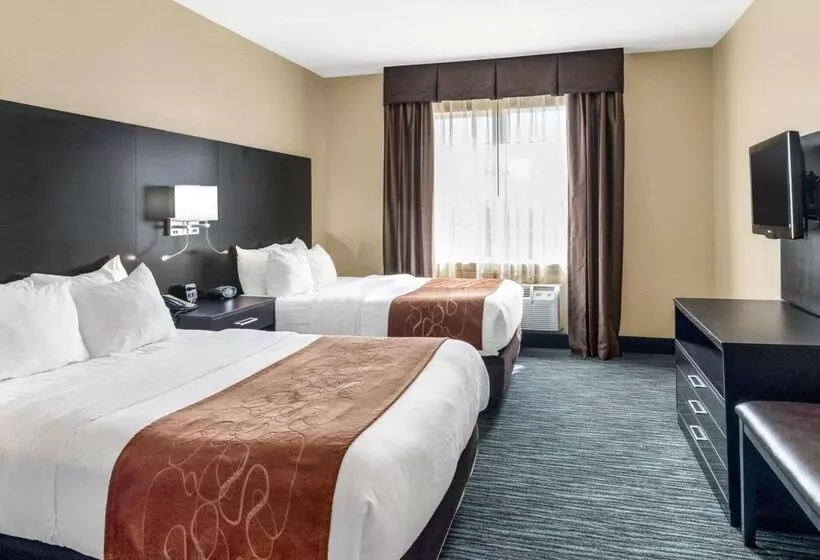 ホテル Comfort Suites