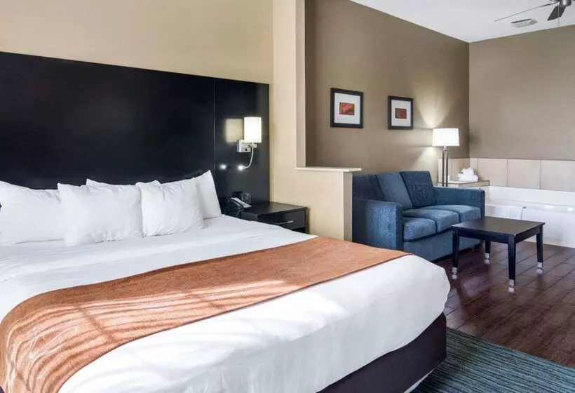 ホテル Comfort Suites