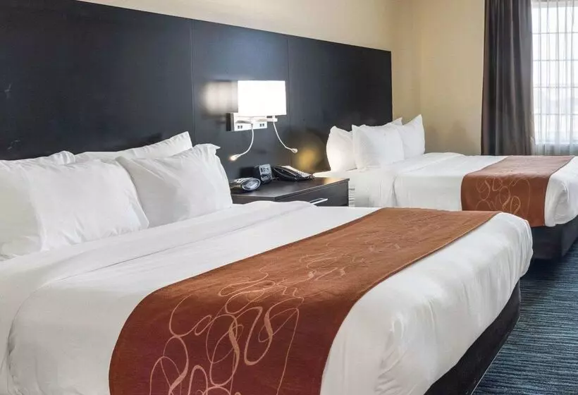 ホテル Comfort Suites