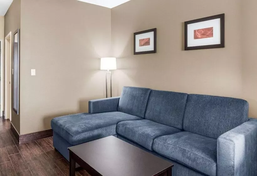 ホテル Comfort Suites