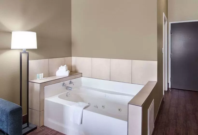 ホテル Comfort Suites